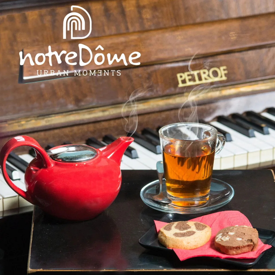 photo shooting Notre Dome Urban moments, φωτογραφία 13