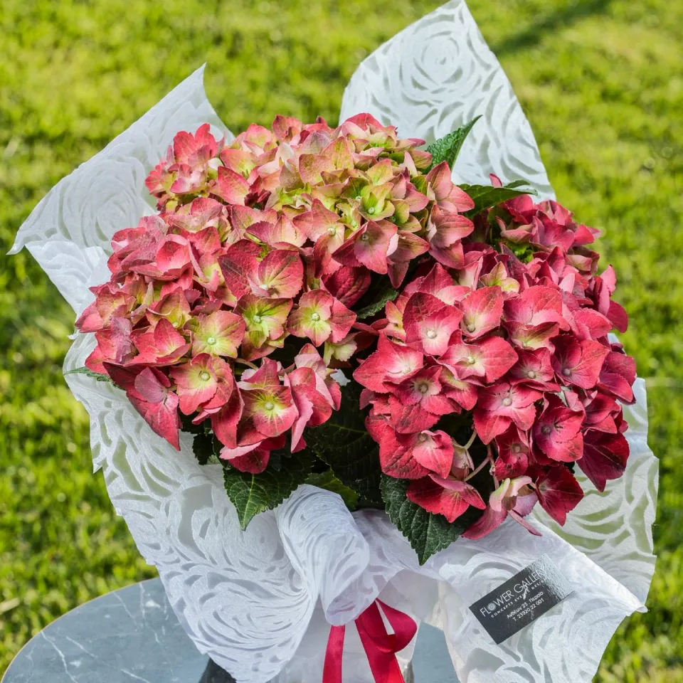 Flower Gallery Mother’s Day Collection 2022, φωτογραφία 9
