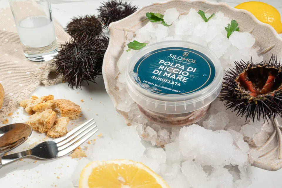 Silomol photoshooting (Sea urchin), φωτογραφία 2