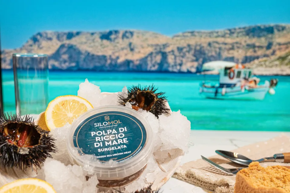 Silomol photoshooting (Sea urchin), φωτογραφία 4