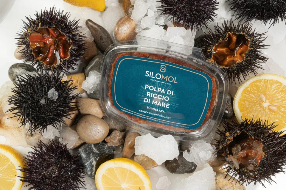 Silomol photoshooting (Sea urchin), φωτογραφία 5