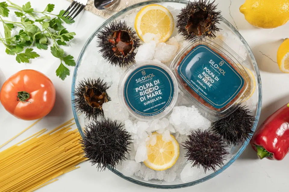 Silomol photoshooting (Sea urchin), φωτογραφία 6