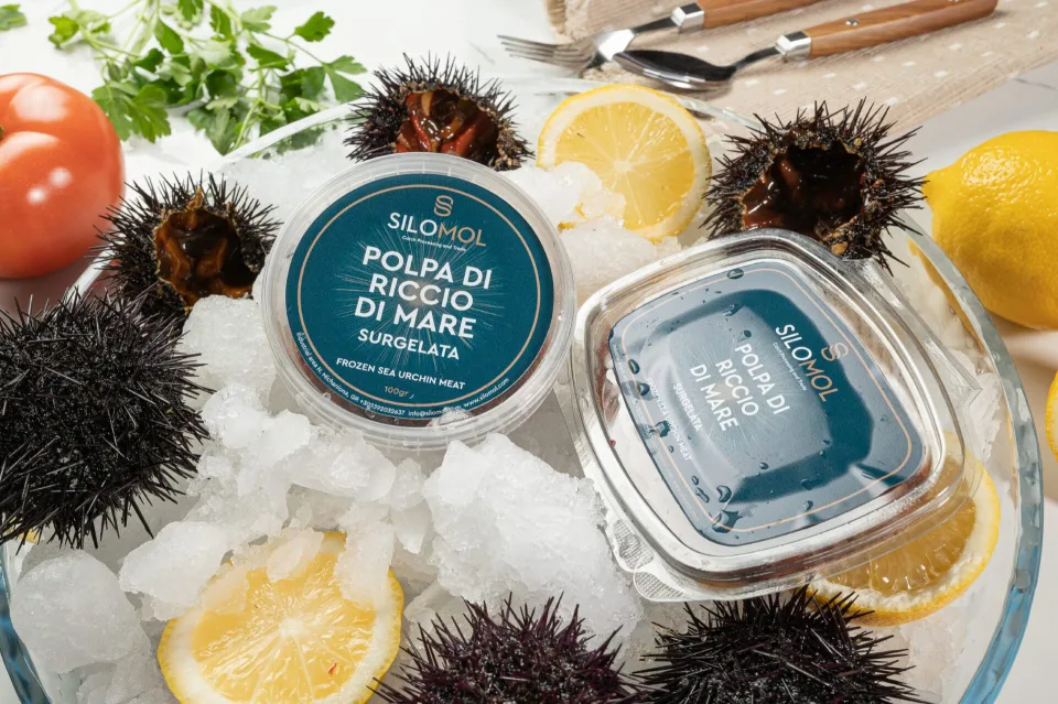 Silomol photoshooting (Sea urchin), φωτογραφία 7