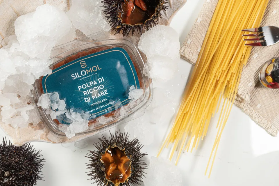 Silomol photoshooting (Sea urchin), φωτογραφία 8