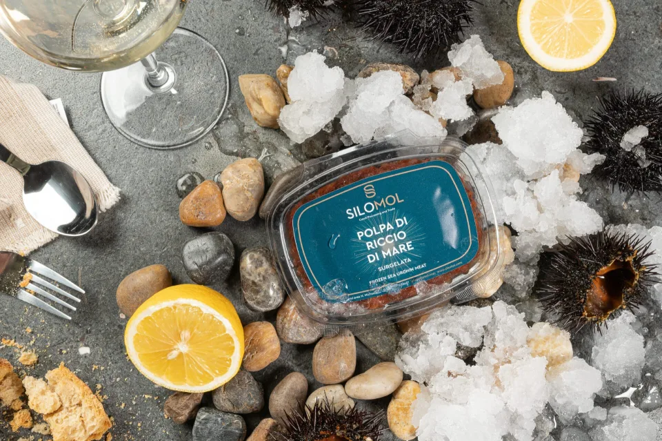 Silomol photoshooting (Sea urchin), φωτογραφία 9