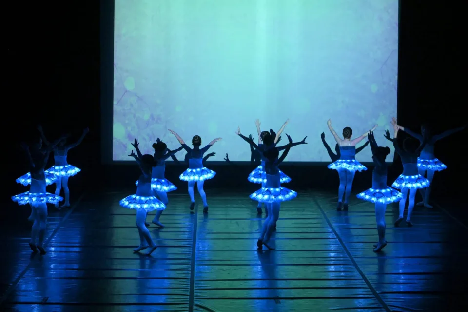 Art & Motion Butterflying, φωτογραφία 5