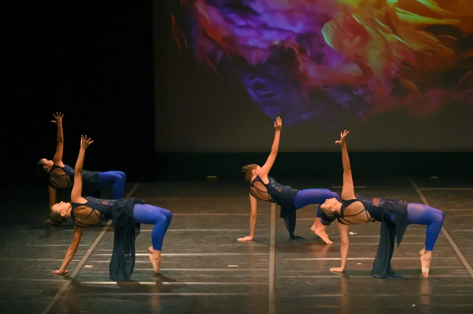 Art & Motion Butterflying, φωτογραφία 8