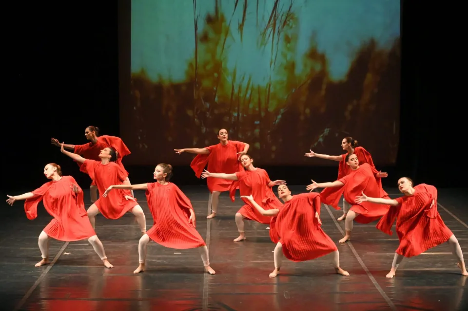 Art & Motion Butterflying, φωτογραφία 12